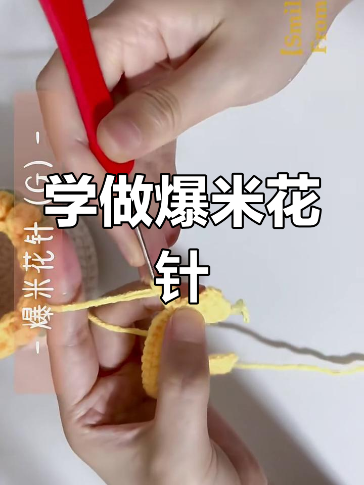 爆米花针钩织技巧大揭秘,轻松学会郁金香收纳篮花朵