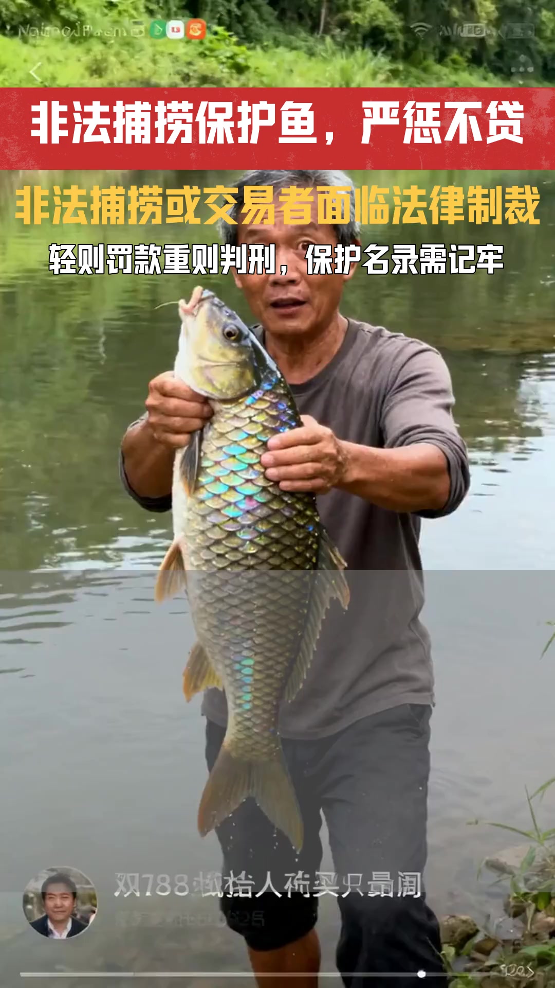 这些奇特的鱼 非法捕捞或交易保护鱼类将面临怎样的执法程序