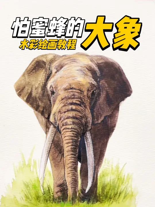 大象水彩绘画教程 画画一起学画画猴子怎么画?水彩动物绘画教程,试试看!庞大的大象居然害怕蜜