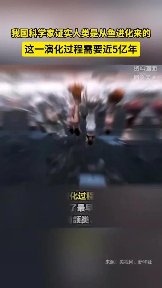 我国科学家证实人类是从鱼进化来的，这一演化过程需要近5亿年 来源：央视网（如有侵权 请联系