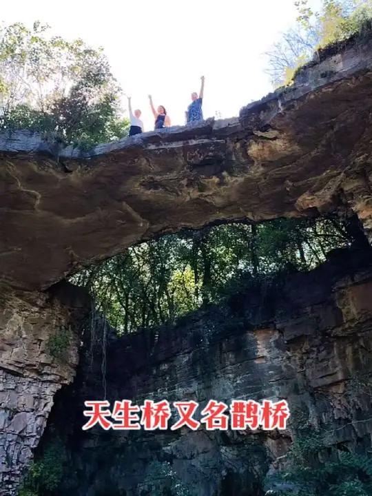 哇塞太牛了,林州五龙洞风景区天生桥又名鹊桥,桥身跨度27.3米,宽约5米,厚度不足1米,高