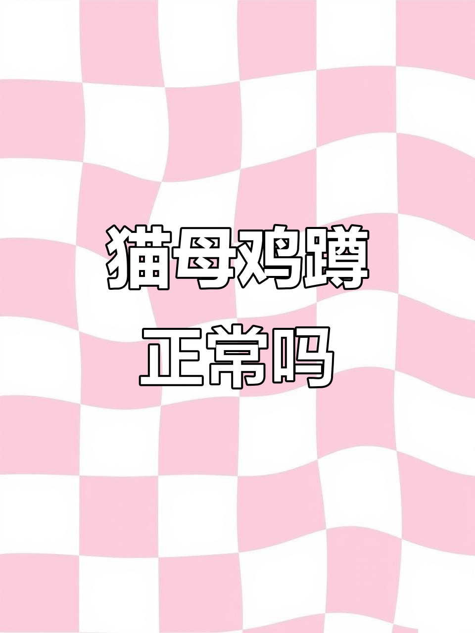 猫咪母鸡蹲不一定是生病,这些情况才是异常