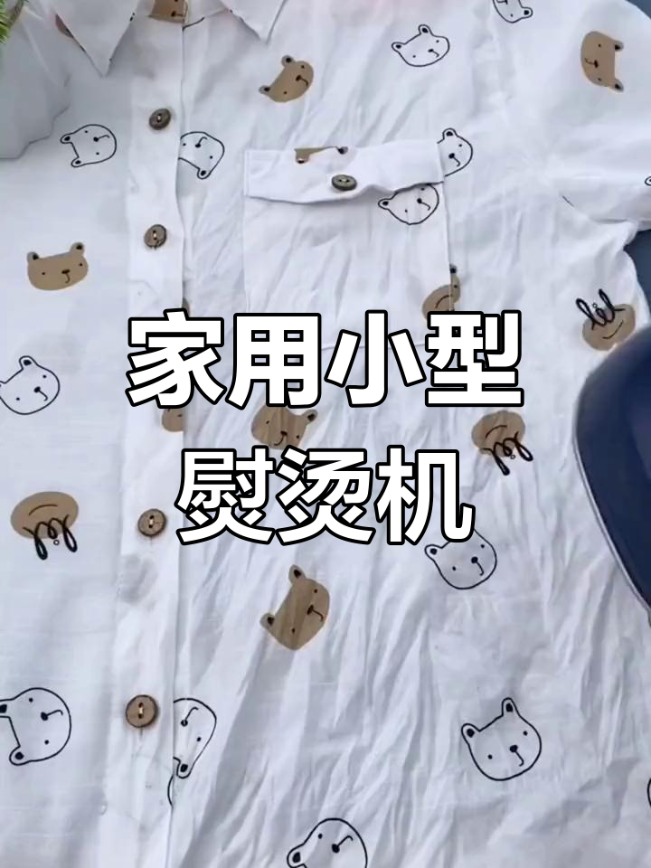 荣事达手持熨烫机,家用小型蒸汽电熨斗