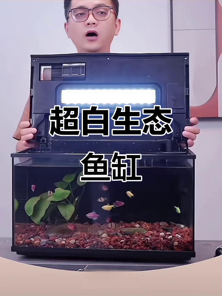 森森超白鱼缸:三合一防跳缸设计,自动滤食与灯光调节
