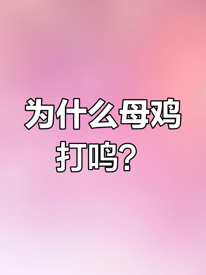 母鸡打鸣背后的秘密:为何它突然变得像公鸡?