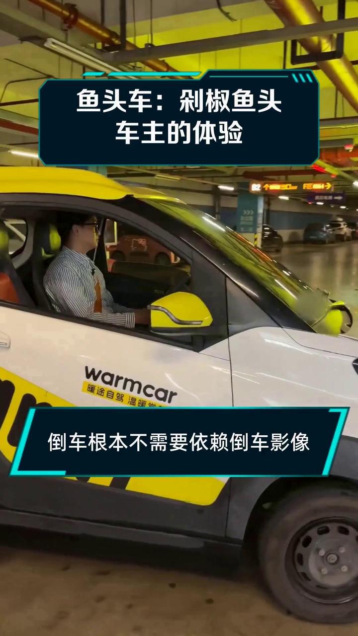 鱼头车:剁椒鱼头车主的体验