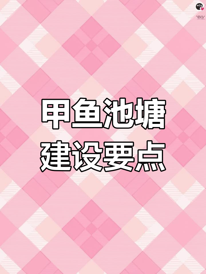 甲鱼养殖池建造技巧:选址、水深与围板设计全解析