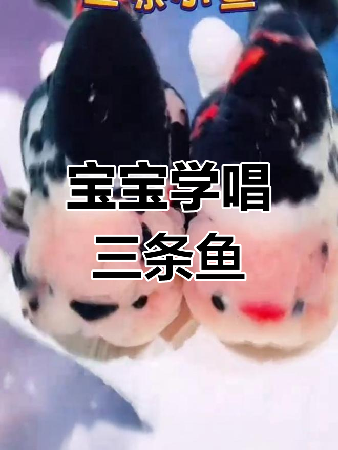 三条小鱼儿歌,宝宝早教动画