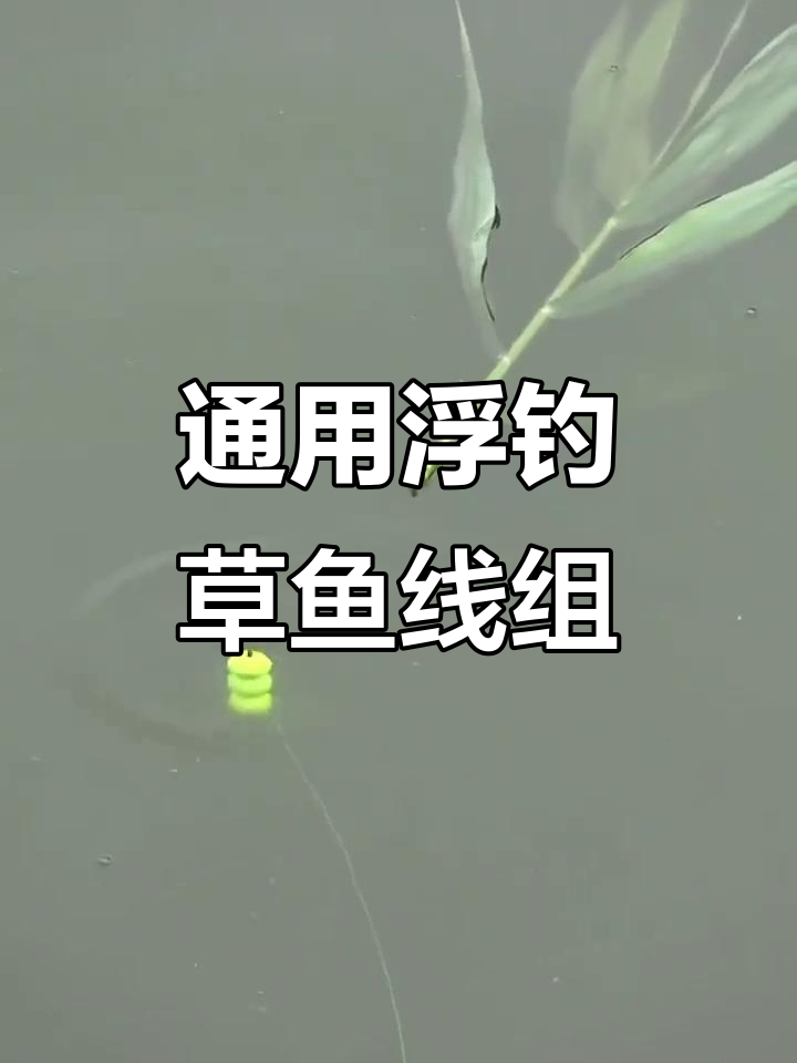 手竿海竿路亚都能用的浮钓草鱼线组,轻松搞定!