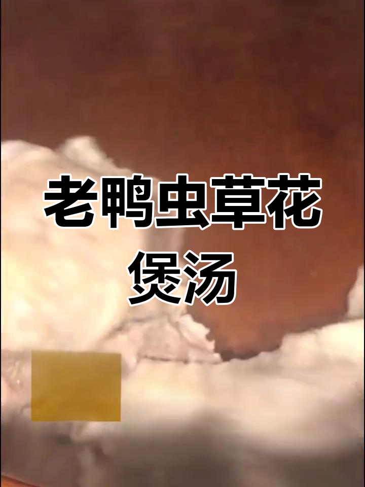 虫草花老鸭汤,滋补美容又美味