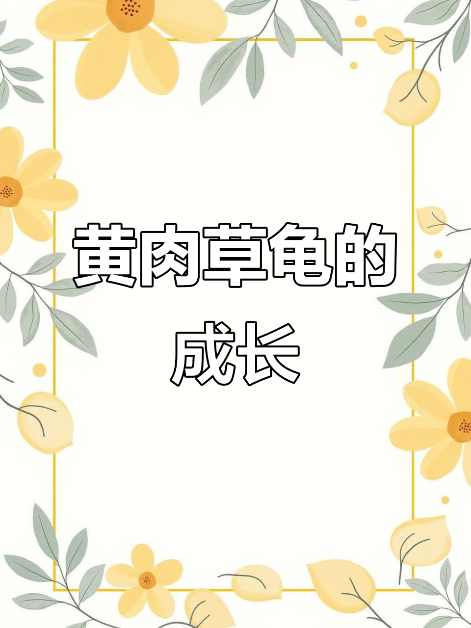草龟成长记:从黄肉到红壳,蜕变全过程揭秘