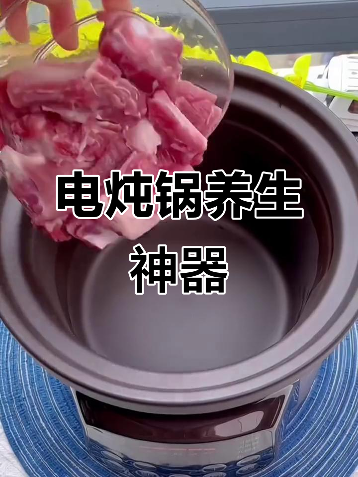 九阳电炖锅,紫砂陶瓷煲汤煮粥,养生必备