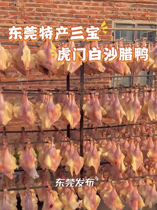 东莞特产三宝之一,虎门白沙腊鸭,你吃过吗