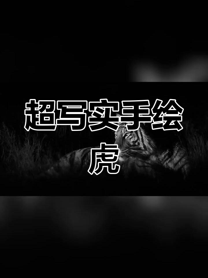 失眠老虎的素描挑战