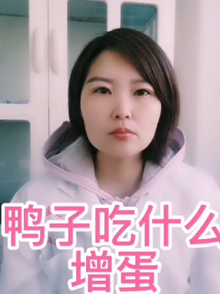 禽医静心谈鸭子吃什么下蛋多又大