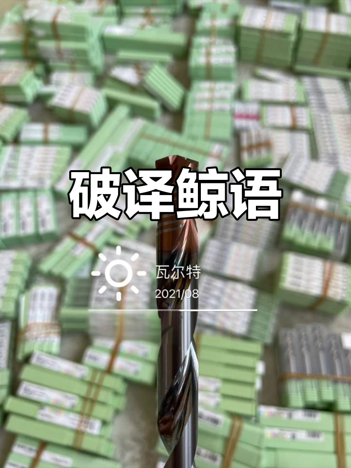鲸鱼叫声背后的秘密