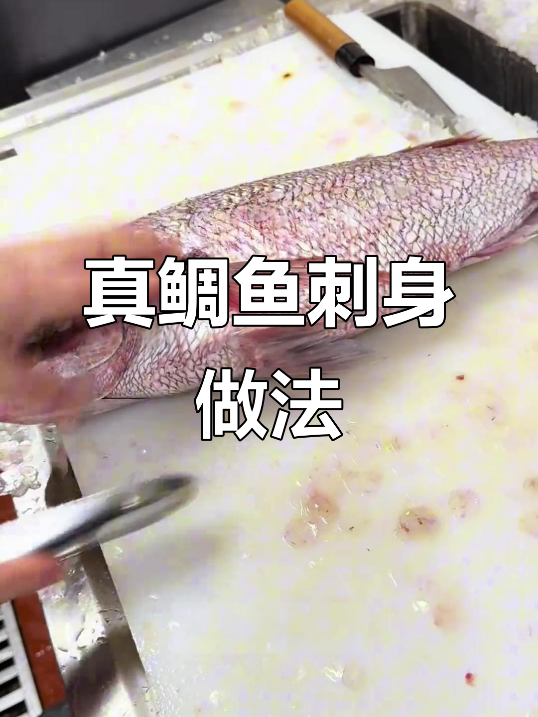 野生甲鲫鱼刺身与养殖差异大,鲜甜嫩滑让人惊艳