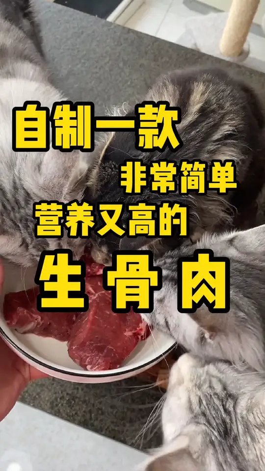 只需要一块牛肉就可以制作的生骨肉