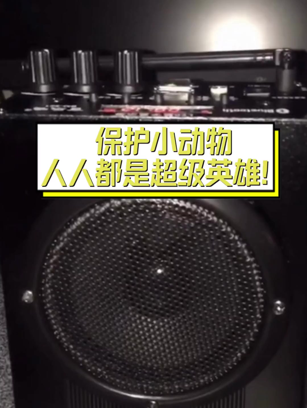 保护小动物,人人都是超级英雄!