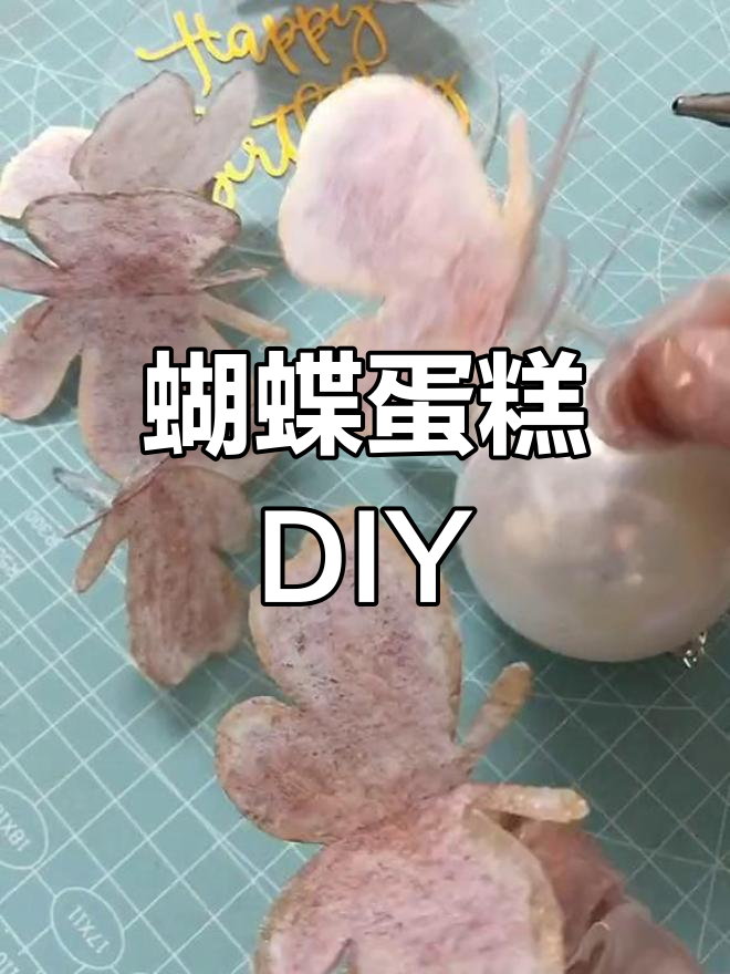蝴蝶蛋糕制作全攻略,简单步骤教你轻松做出完美装饰