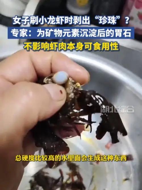 女子刷小龙虾时剥出“珍珠”？专家：为矿物元素沉淀后的胃石，不影响虾肉本身可食用性