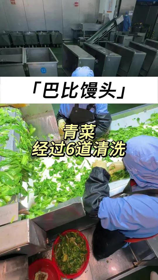 巴比馒头生产流水线曝光 揭秘包子制作过程!巴比 巴比馒头 巴比鲜肉包 巴比香菇菜包 上海之