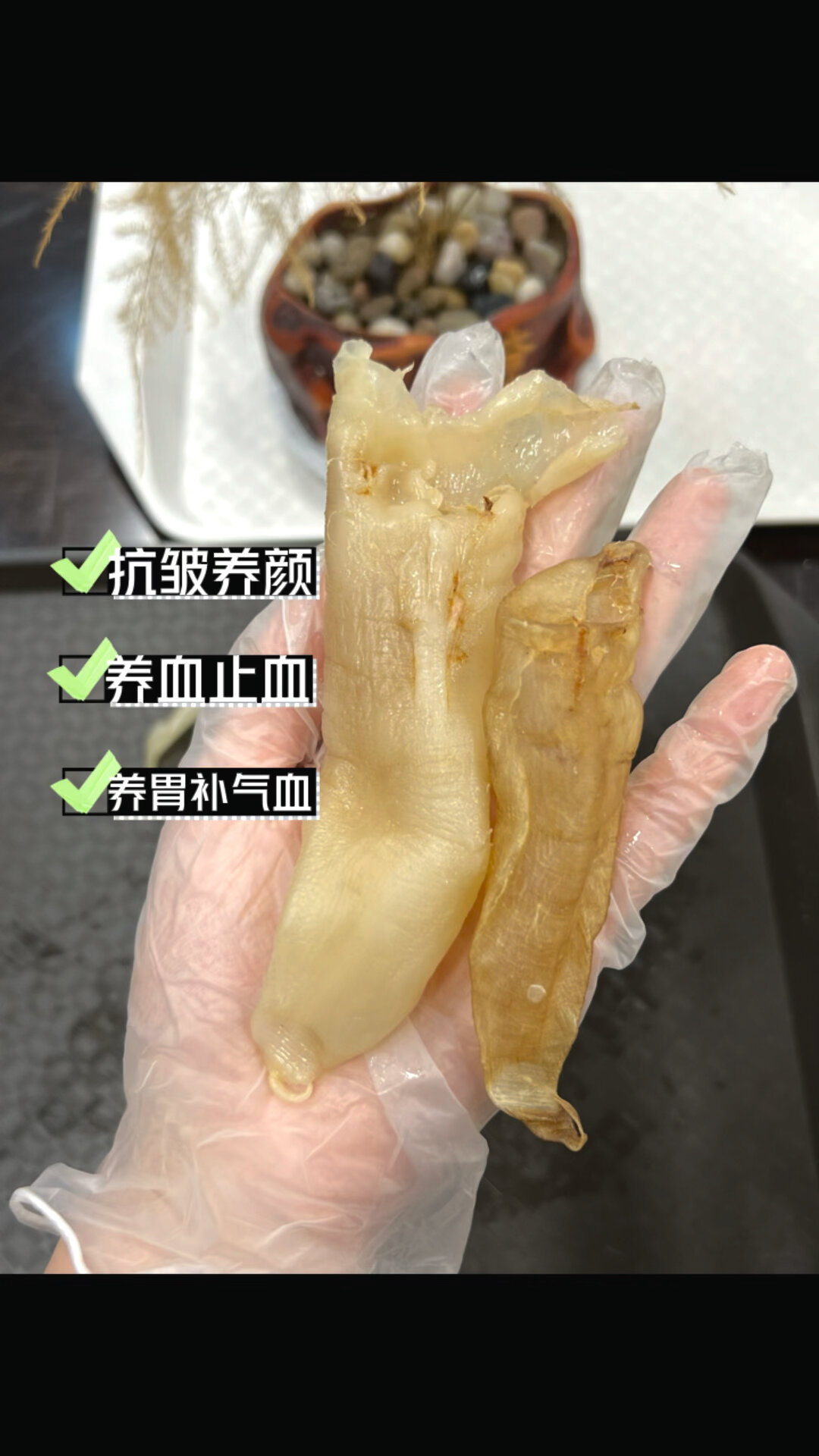 经常性留的吃它,越南白花胶