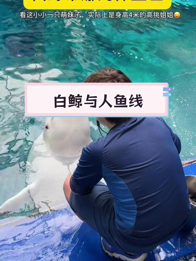 亚特兰蒂斯的白鲸与高挑姐姐