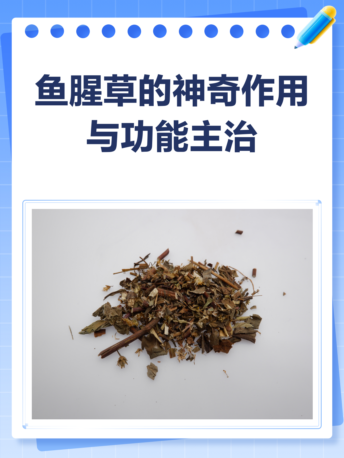 鱼腥草:清热利尿还抗菌,功效多多知多少?