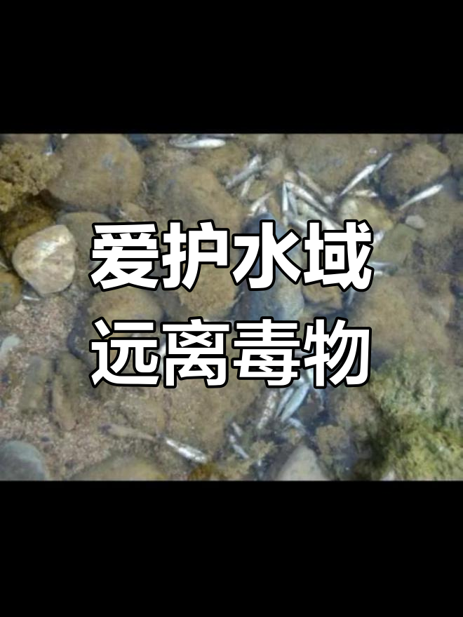 保护环境,拒绝使用鱼藤精
