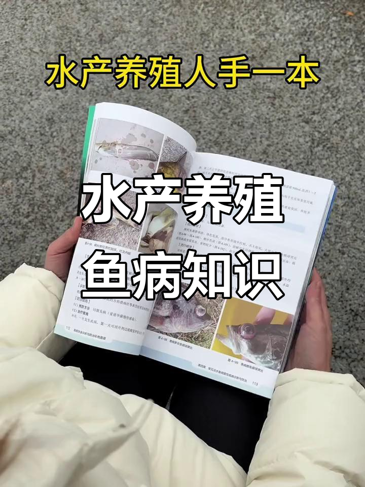 鱼病防治全攻略，水产养殖必备技巧