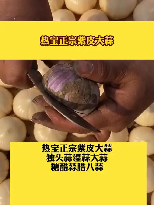 电砂锅家用煲汤煮粥神器一体陶瓷电炖锅养生药膳辅食锅快炖紫砂锅好物推荐电砂锅家用煲汤煮粥神器