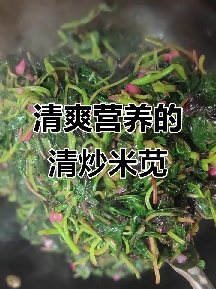 清炒米苋，清新口感与营养并存，健康素菜首选