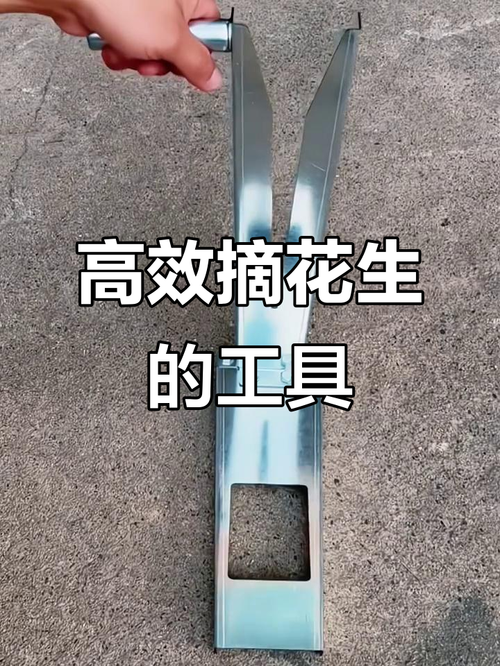 这款摘花生神器,轻松快速去壳,毛豆也能用