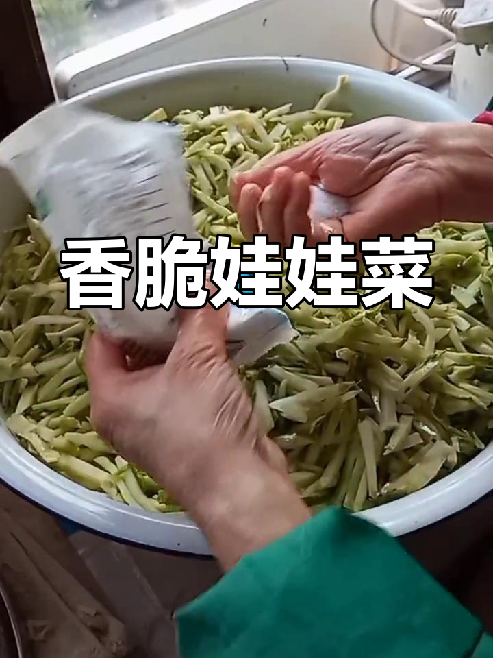 传统娃娃菜腌制法,脆爽美味