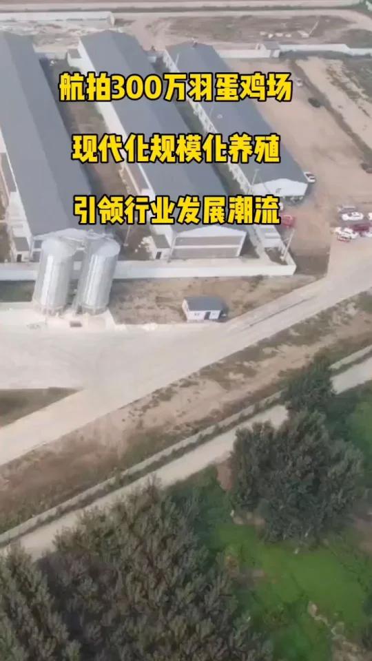 金璧盛蛋鸡设备鸡笼自动化养鸡设备源头厂家