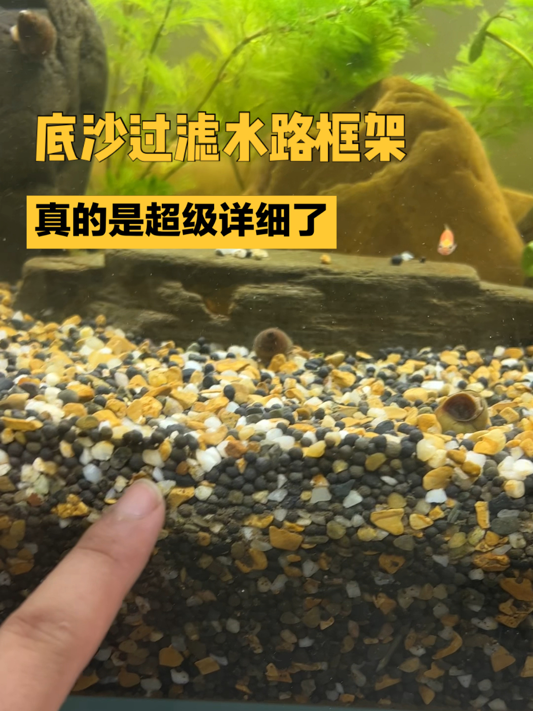 超级详细的底沙过滤鱼缸教程了
