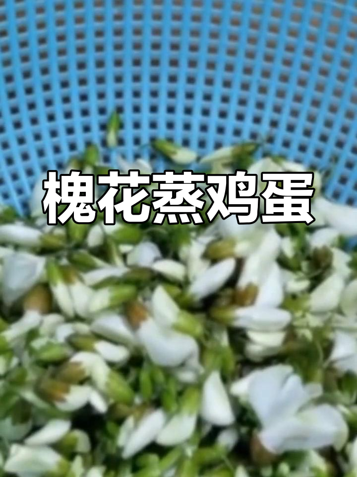 槐花蒸蛋,鲜嫩劲道又营养