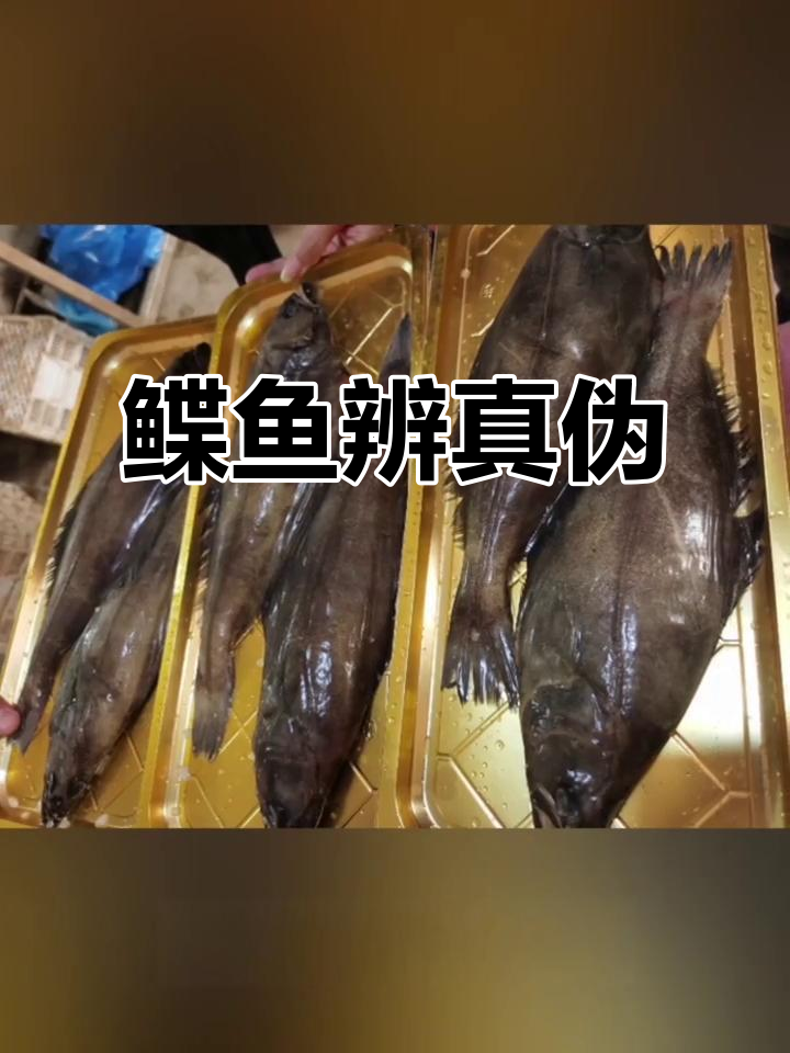 真假鲽鱼大揭秘,教你轻松辨别格陵兰与箭齿!