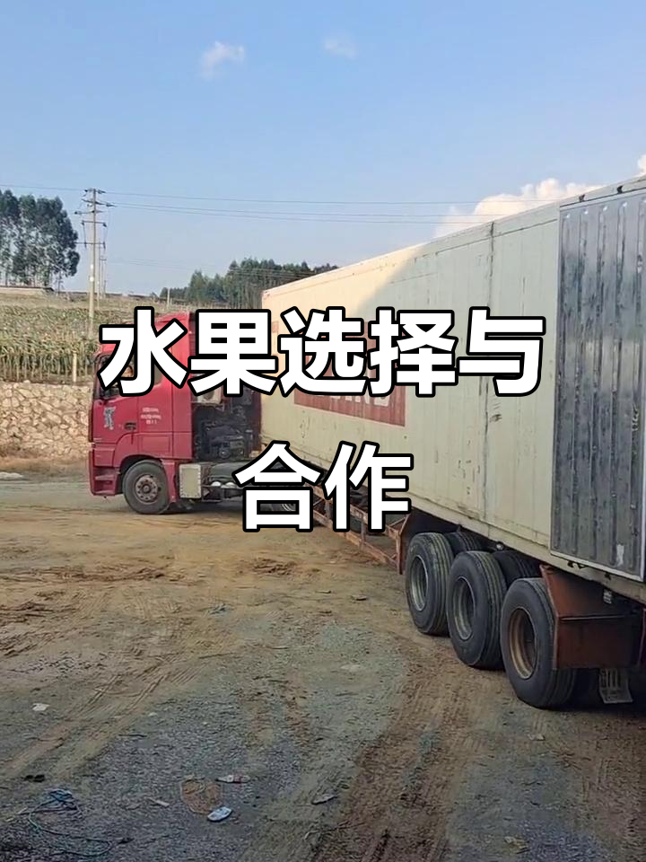 火龙果、柚子任选,保证品质,合作共赢!