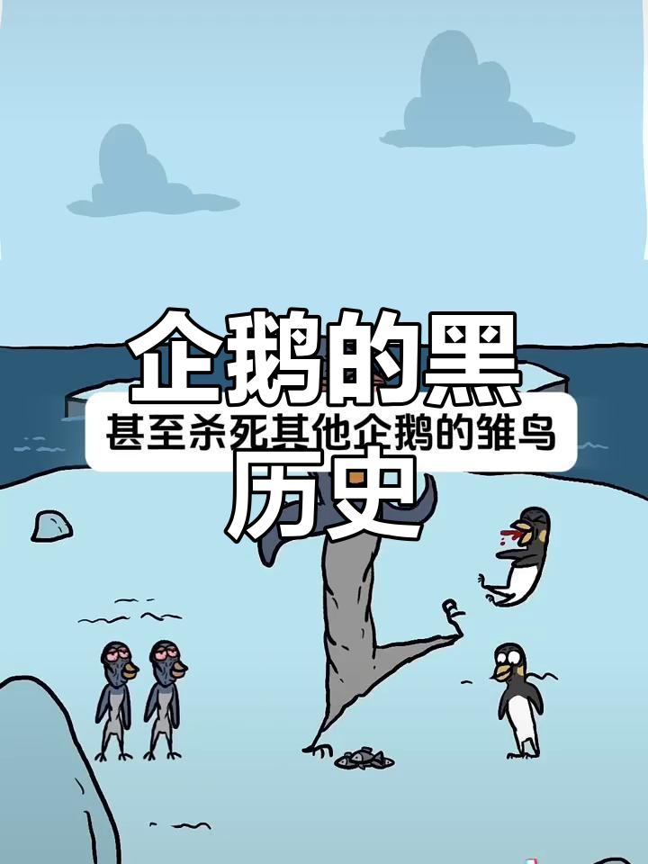 企鹅的残酷一面:为了生存,它们会做出让人震惊的行为