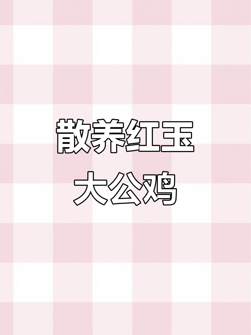 红玉大公鸡,四个月就能长成,成年能重达十斤