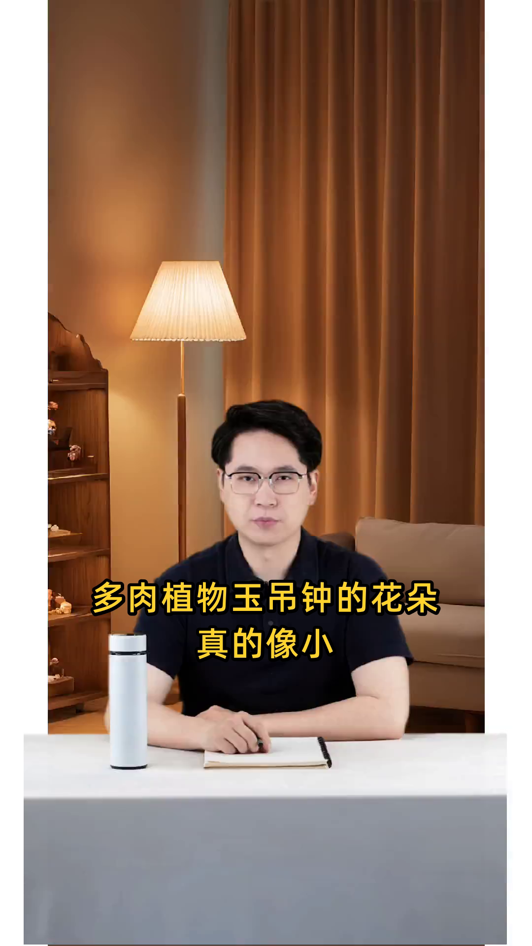 玉玲珑小灯笼形状的多肉植物,独特美观,深受喜爱