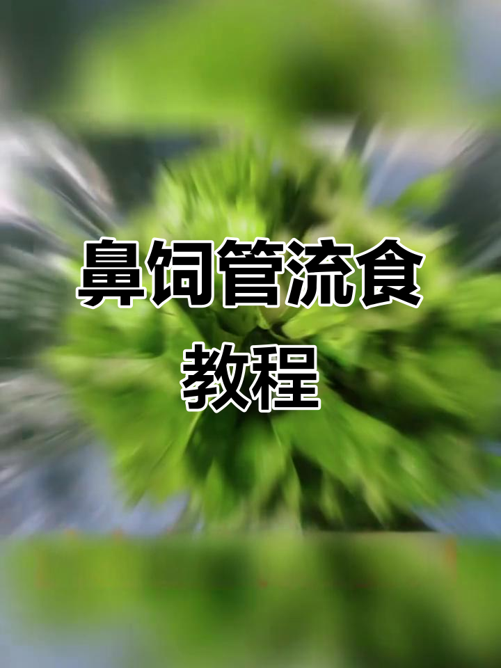 瘫痪病人鼻饲管流食制作全攻略,简单步骤教你轻松搞定