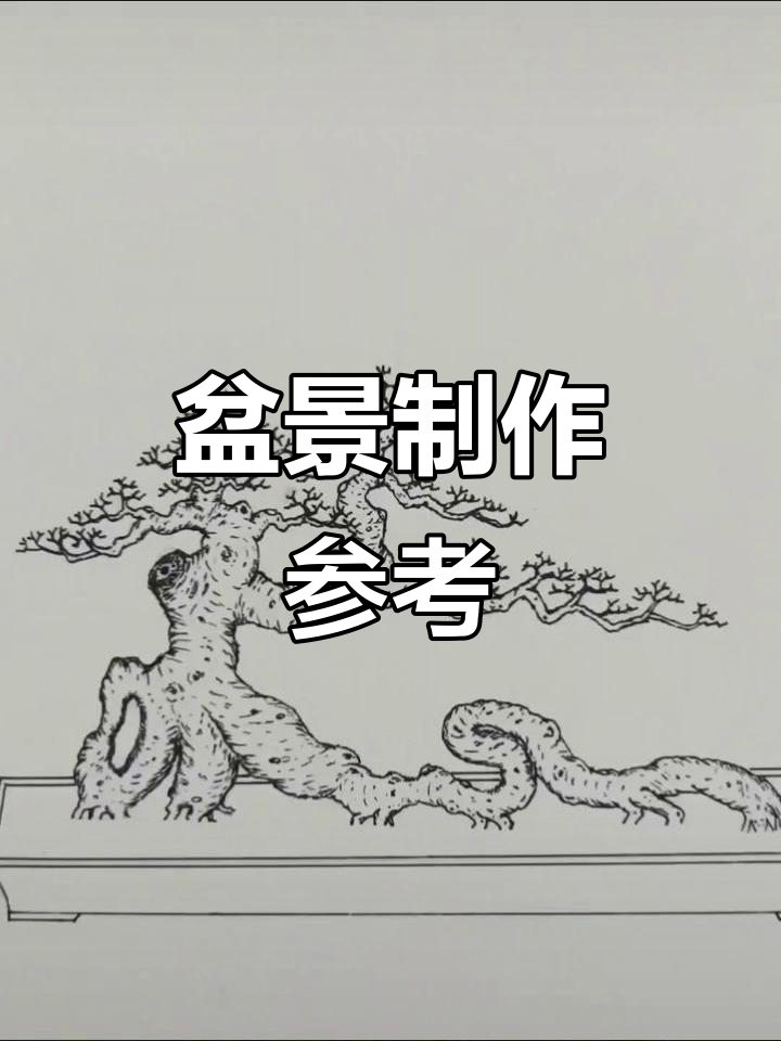 盆景造型设计参考图,打造独特景观