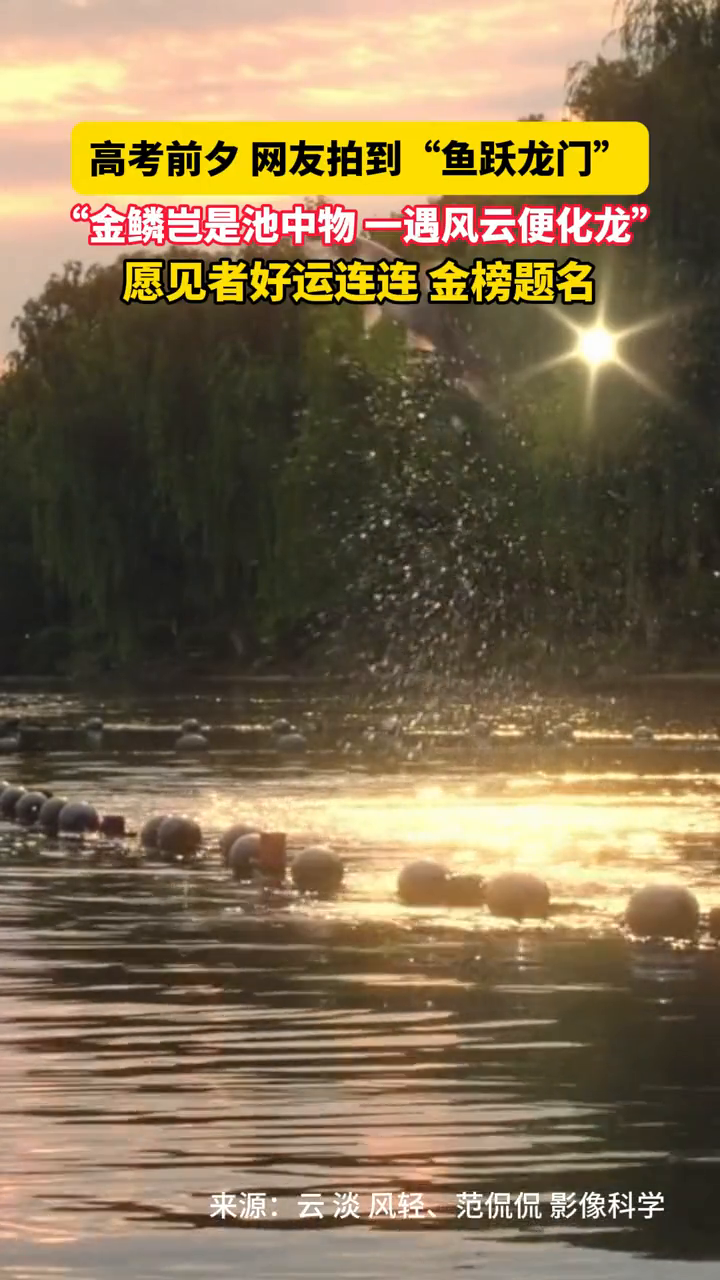 网友拍到“鱼跃龙门”“金鳞岂是池中物 一遇风云便化龙”