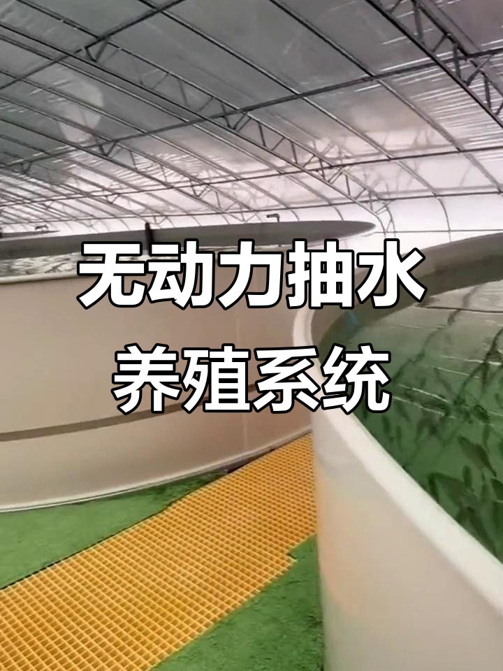 无动力抽水助力高密度养殖,锦鲤鱼池过滤系统成功运行