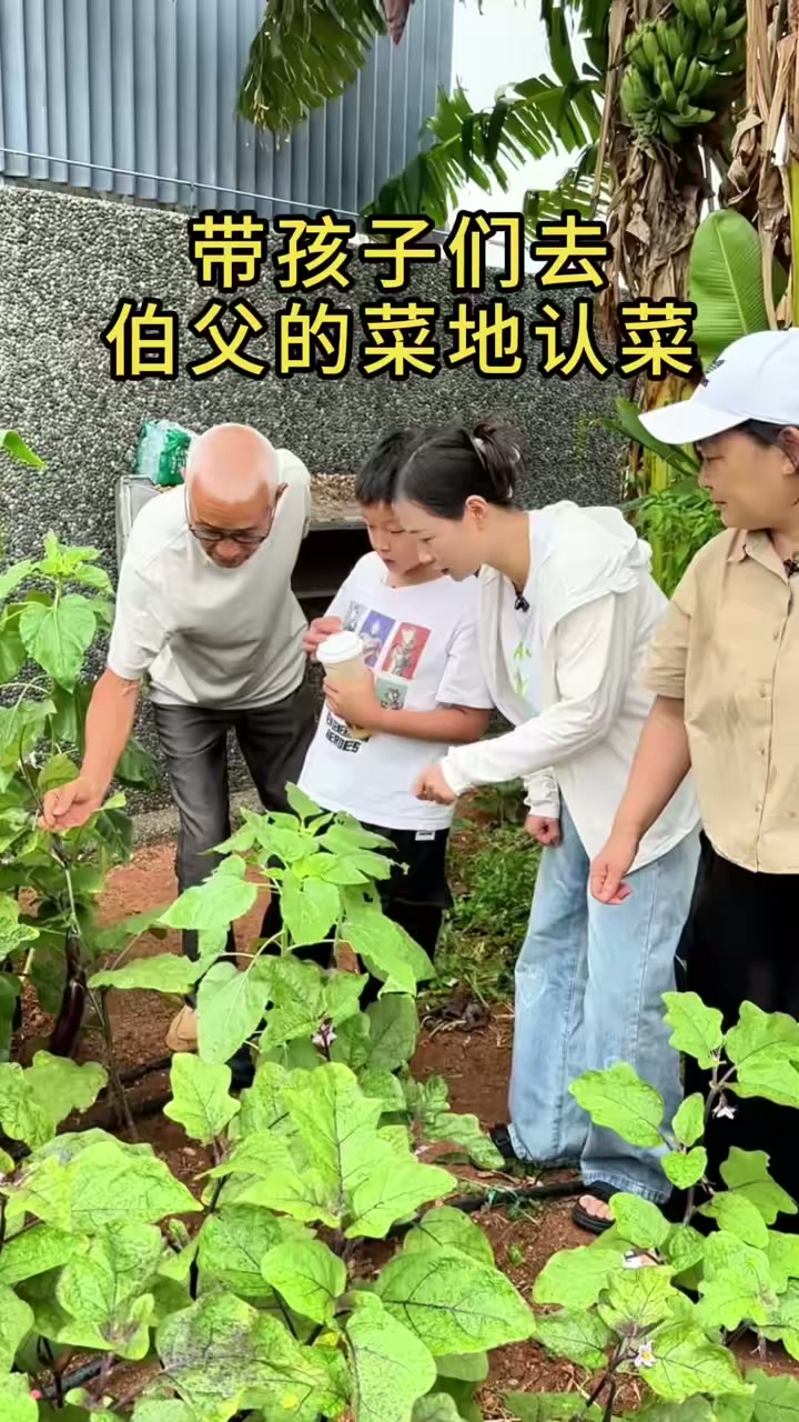 带孩子们去伯父的菜地认菜