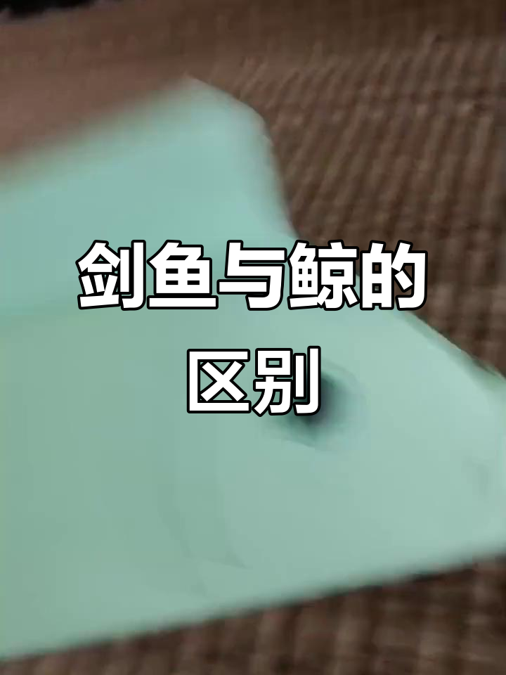 剑鱼不是鲸,揭秘海洋馆里的“断尾”剑鱼