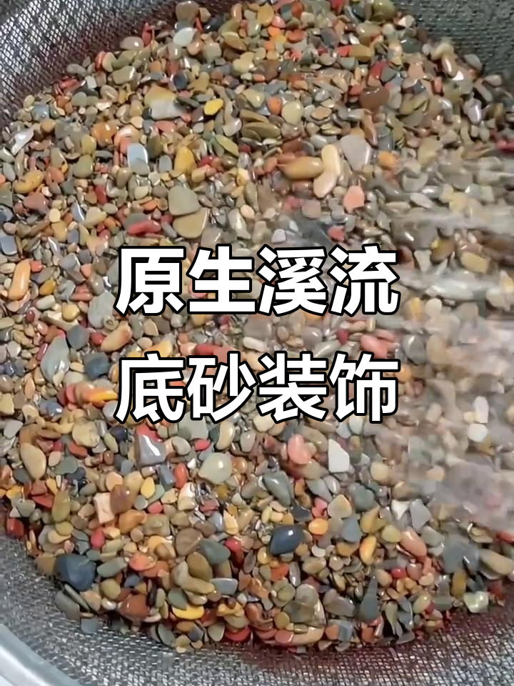 溪流石鱼缸底砂造景,原生鹅卵石打造自然水族环境